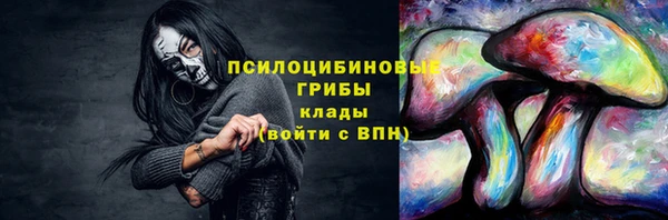 молекула духа Верея