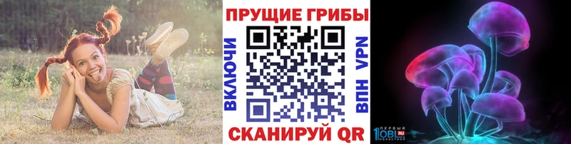 Купить закладки  Курчалой  Галлюциногенные грибы Psilocybine cubensis 